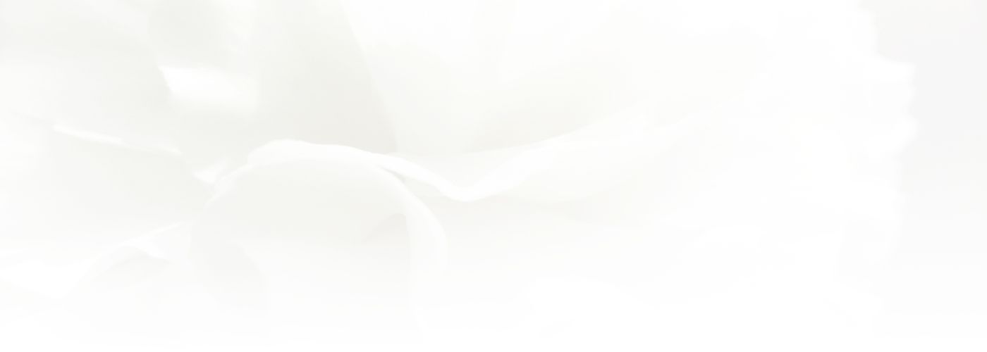 Delicate white botanical textures on soft background.