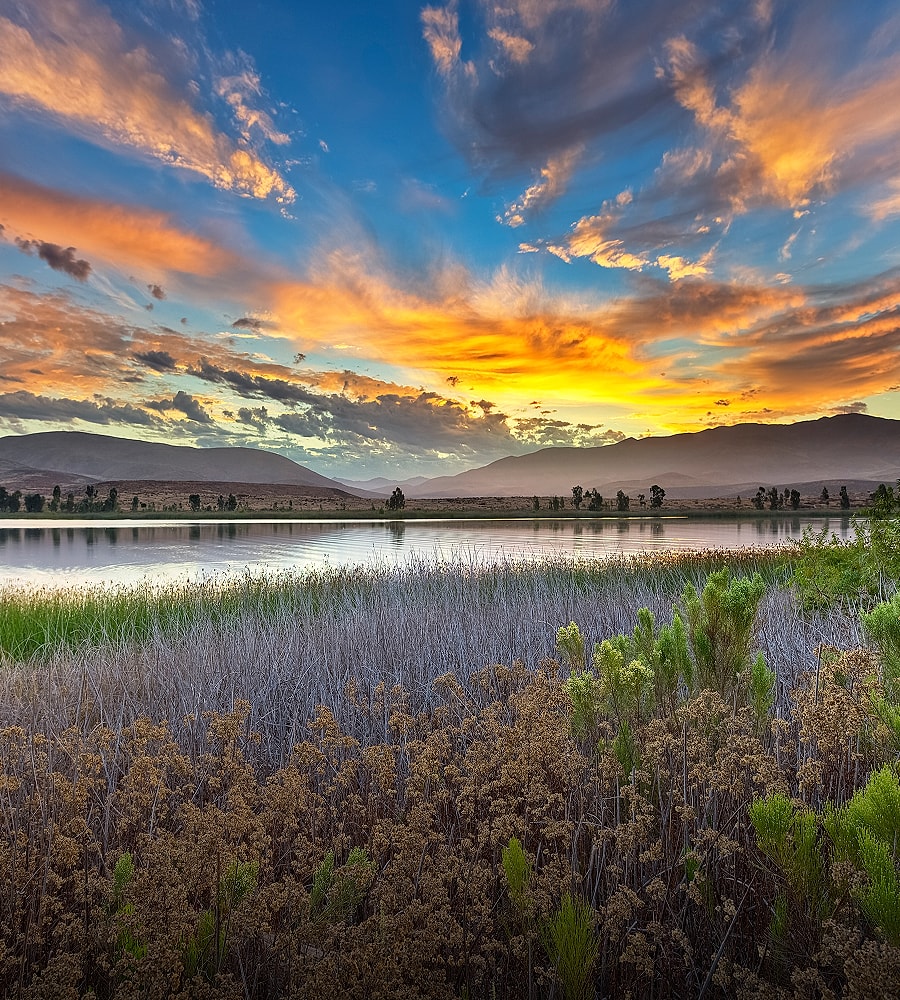 Aerial view of city skyline and park.
