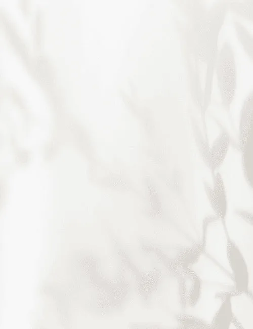 Soft shadows of leaves on light background