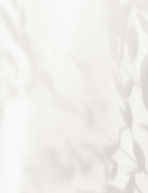 Soft shadows of leaves on a light background