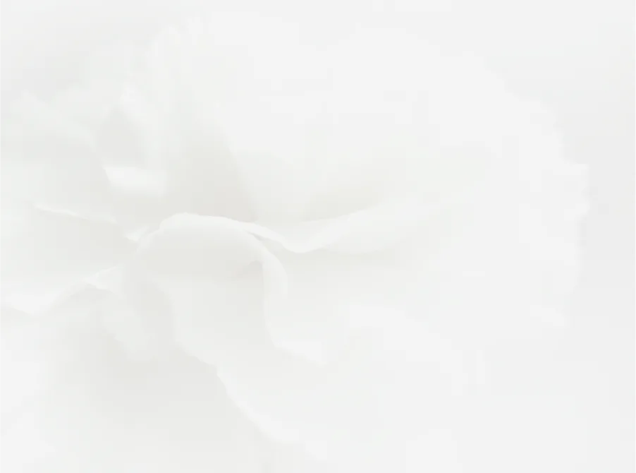 Soft white flower on a light background.