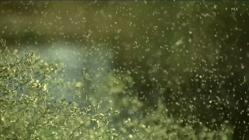 Treating seasonal allergies in teens, kids, and toddlers