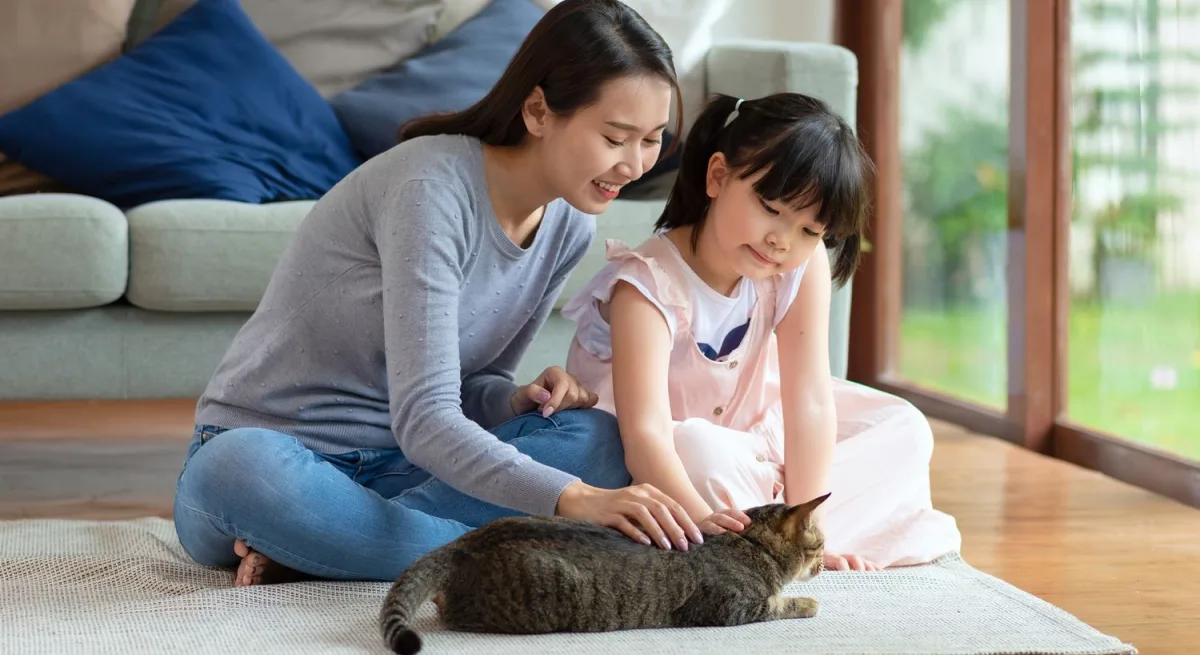 Mother and daughter spending time with a cat.