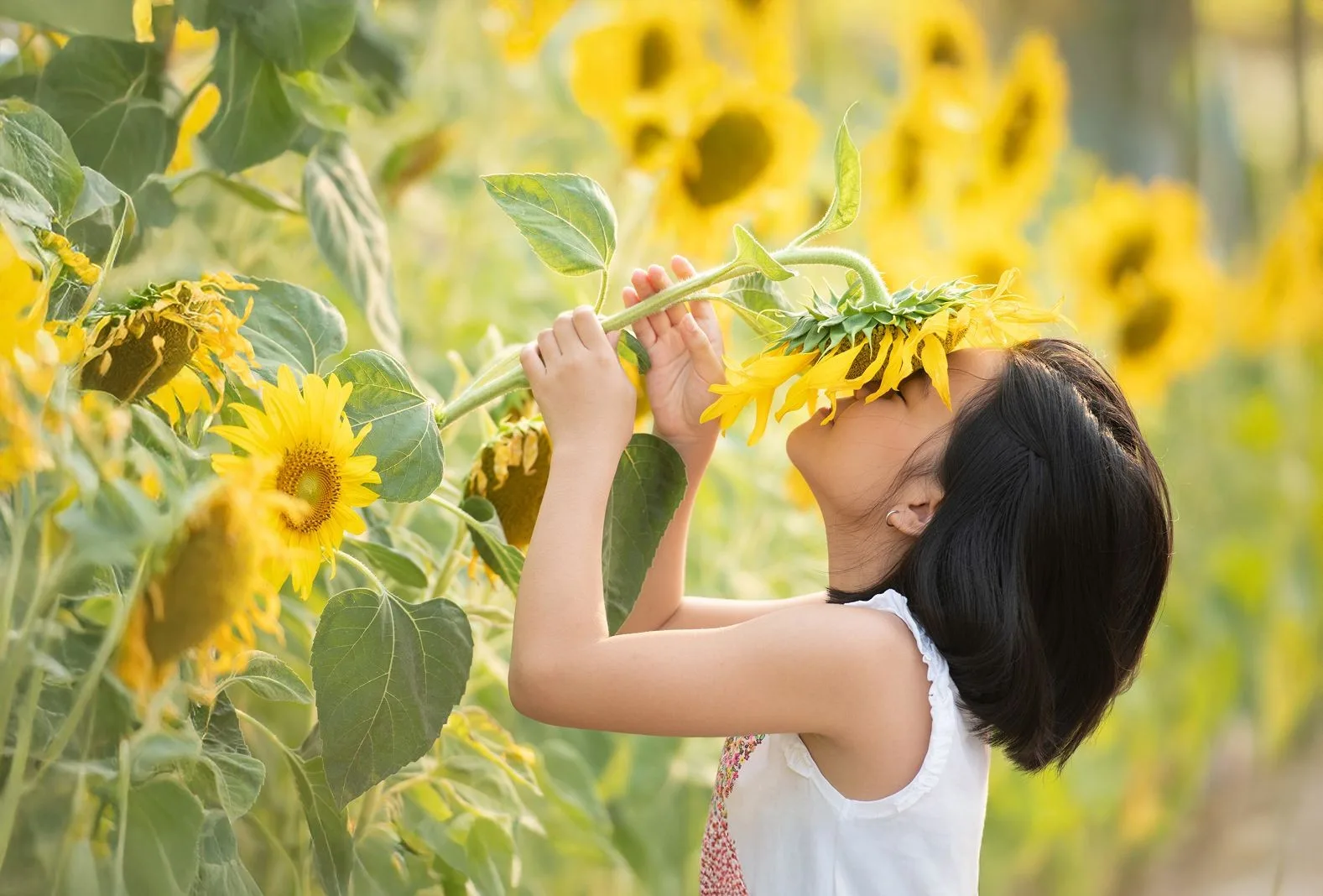 A child exploring plants and flowers outdoors.